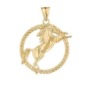 14k Solid Gold Stallion Horse Rope circle Pendant